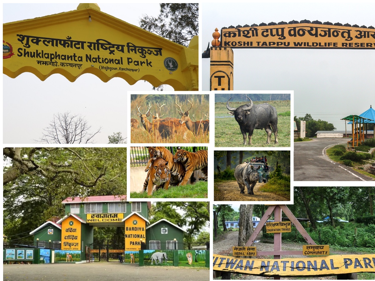 4 National Parks Tour in Nepal - 12 Days