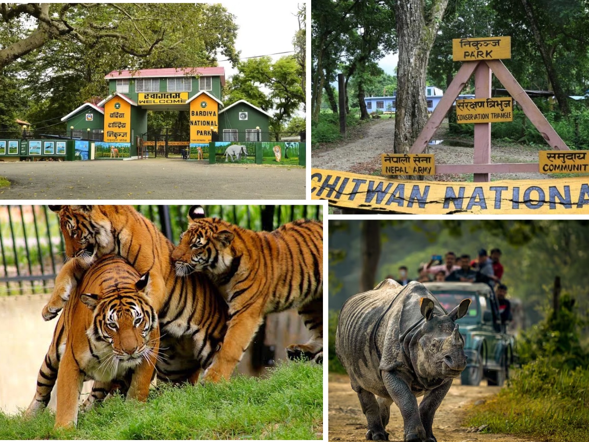 Nepal Wildlife Safari Luxury Tour 8 Days Tour